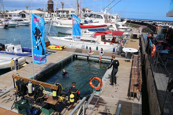 Scuba Diving Baptism in Caleta de Fuste - Price and Logistics: When $118 Feels Like a Win (and When It Doesn’t)