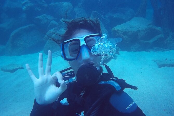 Scuba Diving Baptism in Caleta de Fuste - Who Should Book This Scuba Baptism, and Who Should Skip