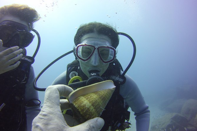 Scuba Diving Beginner's Session in Costa Adeje - The Underwater Excursion: Up To 12 Meters in About 45 Minutes