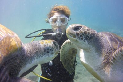 Scuba Diving Beginner's Session in Costa Adeje - South Tenerife Pickup To Ocean Trek: Getting Started Without Hassle