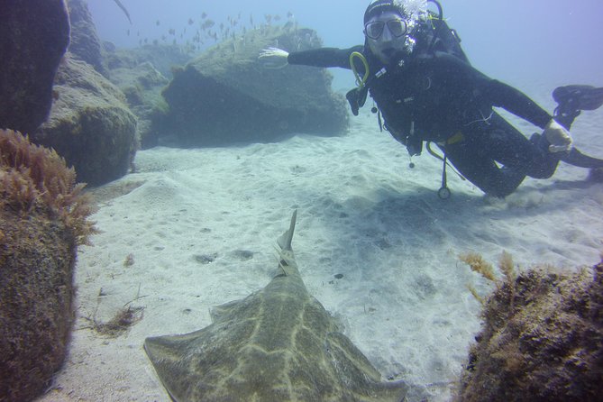 Scuba Diving Beginner's Session in Costa Adeje - Safety and Comfort for First-Timers: Small Groups and Calm Coaching