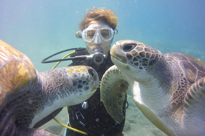 Scuba Diving Beginner's Session in Costa Adeje - South Tenerife Pickup To Ocean Trek: Getting Started Without Hassle