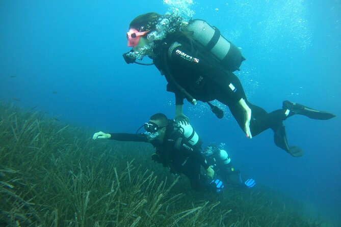 Scuba Diving Experience in Santorini - Price and Value: Is $106.64 a Fair Deal?