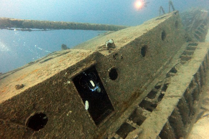 Scuba Diving for Certified Divers in Costa Adeje - Your Instructor and the Small-Group Focus