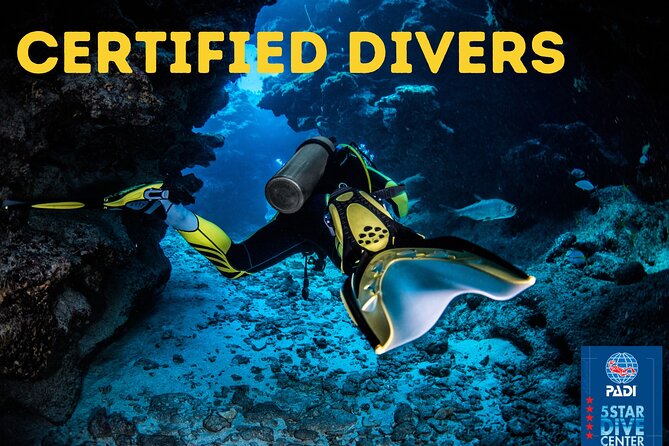 Scuba Diving for Certified Divers in Costa Adeje - The Speedboat Step: Why It’s Not Just Transport