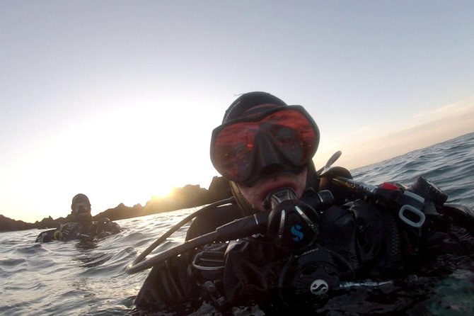 Scuba Diving in Lanzarote (for certified divers only) - Key Highlights (Quick Picks Before You Go)