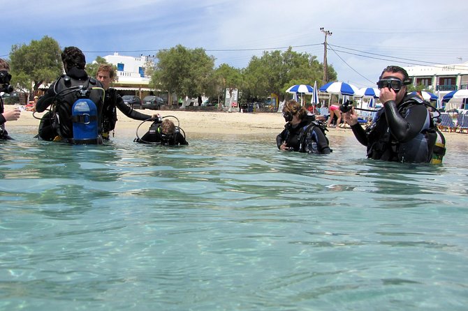 Scuba Diving in Naxos by Bluefindivers - Dive in Greece - Amazing Diving Spots - PADI Discover Scuba at Agios Prokopios: made for first-timers