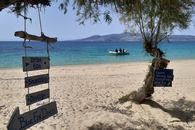 Scuba Diving in Naxos by Bluefindivers - Dive in Greece - Amazing Diving Spots - Safety feel: why the instruction style matters