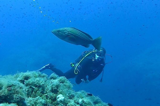 Scuba Experience - Key Highlights Worth Your Time