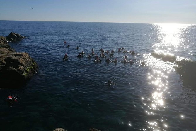 Scuba Experience - A Max-5-Meter Scuba Session by Catania and Its Ancient Lava Flows