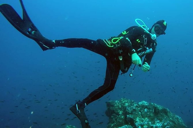 Scuba Experience - Weather, Timing, and How to Keep Your Sicily Day on Track