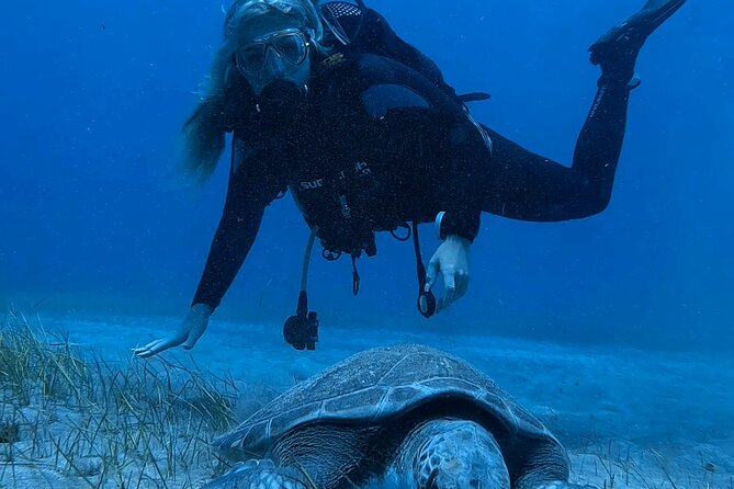 Scuba Experience in Tenerife with Guide - The full flow of a Try Scuba session in Tenerife