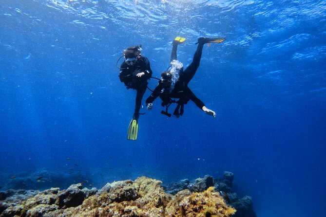Scuba Experience in Tenerife with Guide - Morning logistics in Arona: 8:30 am and pickup math