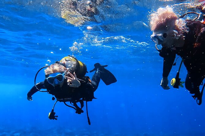 Scuba Experience in Tenerife with Guide - Price and what you actually get for $90.11
