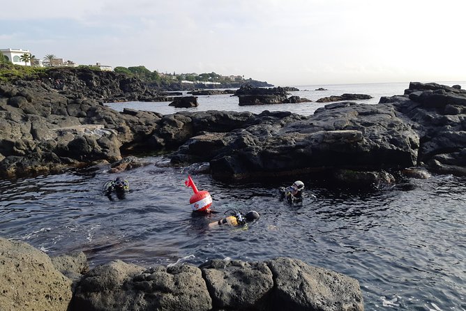 Scuba Experience - Meeting at Jonio Pro-Dive Catania: Start Time and Pickup Reality