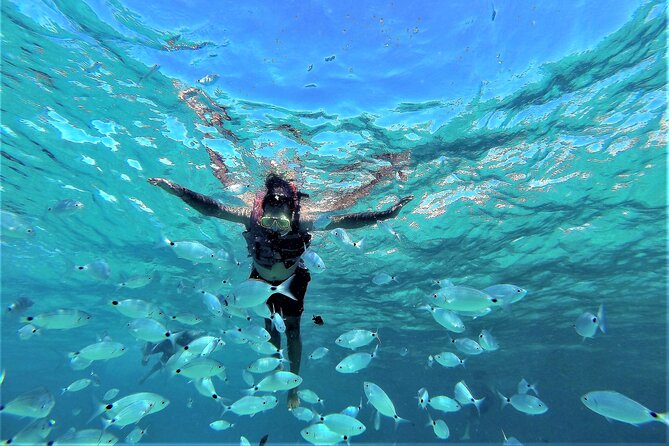 Sea Caves & Coves Snorkeling Paddle Boarding Tour - Cala Comte: Your First Swim Stop for Clear Water and SUP Fun