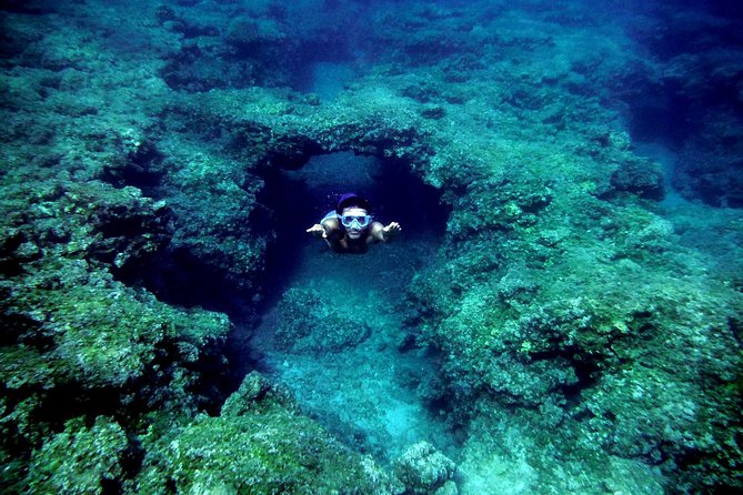 Sea Kayak & Snorkel tours in West Crete - Price and Value: What $94.13 Buys You in Real Terms