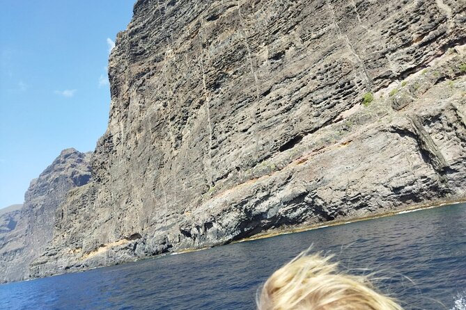 SEA SAFARI Dolphins, Whales, 3h speedboat DISCOVERY-TOUR - Price and value: why $78.10 can feel fair