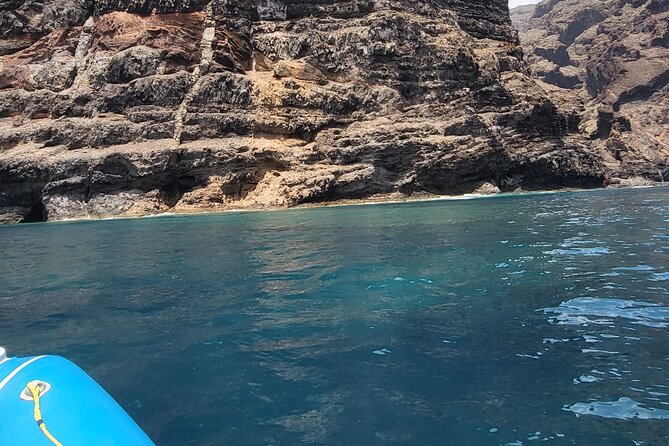 SEA SAFARI Dolphins, Whales, 3h speedboat DISCOVERY-TOUR - Who should book this sea safari, and who should think twice