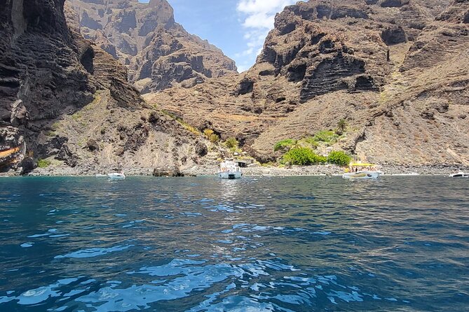 SEA SAFARI Dolphins, Whales, 3h speedboat DISCOVERY-TOUR - How close you can get for whales, dolphins, and turtles