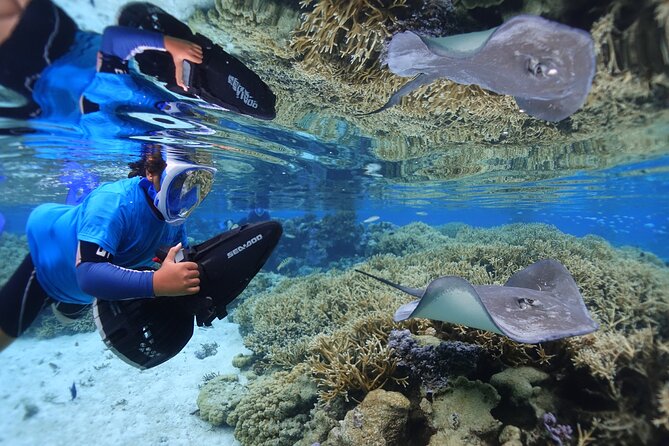 Sea Scooter Jet Snorkeling "Moorea Dream Adventure" - Photo and video at the end: worth it, but know the cost