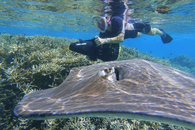 Sea Scooter Jet Snorkeling "Moorea Dream Adventure" - Comfort, timing, and what to bring so you enjoy every minute