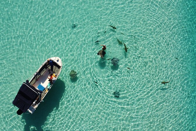 Sea Scooter Jet snorkeling "Moorea Reef Adventure" - Comfort tips: masks, wetsuit fit, and hands-on gear choices