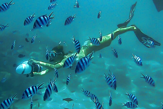 Sea Scooter Snorkel Tour - Lagoon Discovery : Wrecks, Coral Gardens and Tropical Fishies - Sea Scooters + Lagoon Snorkeling: What You’re Really Buying