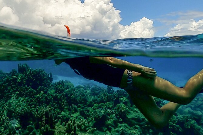 Sea Scooter Snorkel Tour - Lagoon Discovery : Wrecks, Coral Gardens and Tropical Fishies - How the Sea Scooter Changes the Snorkel Experience