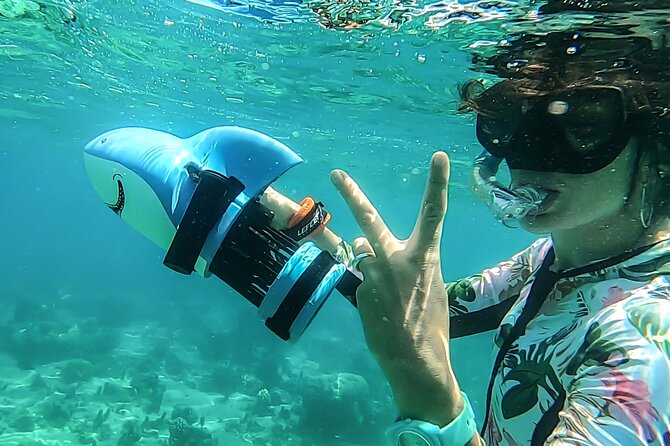Sea Scooter Snorkel Tour - Lagoon Discovery : Wrecks, Coral Gardens and Tropical Fishies - Price and What Feels Like a Good Deal at $109