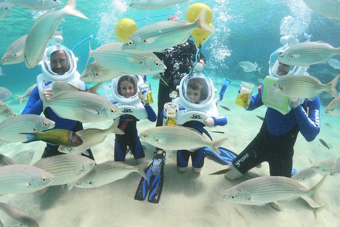 Sea Trek (exclusive in Lanzarote) - How Sea Trek Works in Lanzarote’s Calm Coast