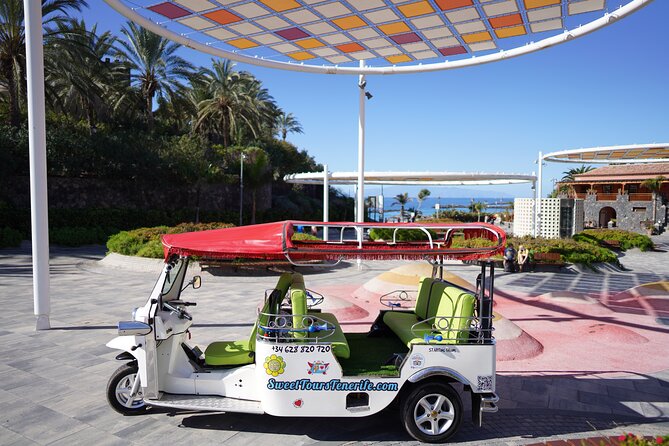 Secret Volcano Tour by Tuk Tuk in Costa Adeje - Meet at Hotel Best Jacaranda: logistics that actually matter