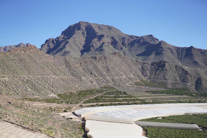 Secret Volcano Tour by Tuk Tuk in Costa Adeje - The finish: drinks, local flavors, and a good last impression
