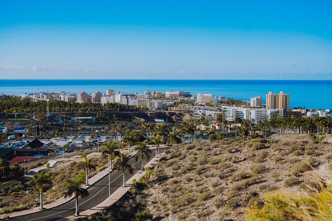 Secret Volcano Tour by Tuk Tuk in Costa Adeje - Price and value: is $29.04 for an hour a fair deal?