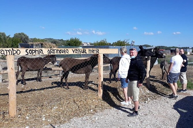 Self drive 4x4 Jeep Safari - Pick ups in the North - Family farm tasting in Archipoli’s area: the food part is real