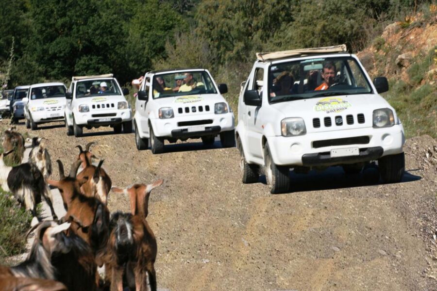 Self-Drive Jeep Safari to South Coast, Palm Beach & Canyons - Scenic Drive, Quick Photo Stops, and the Potamon Dam Coffee Break