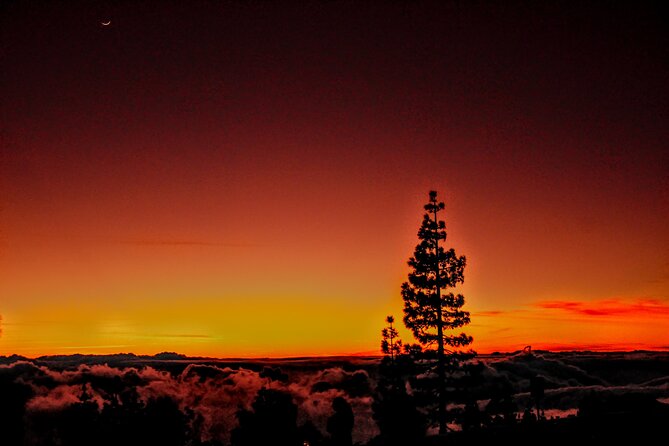 Self Drive Sunset & Stargazing in Teide National Park with Dinner - Key things to know before you go