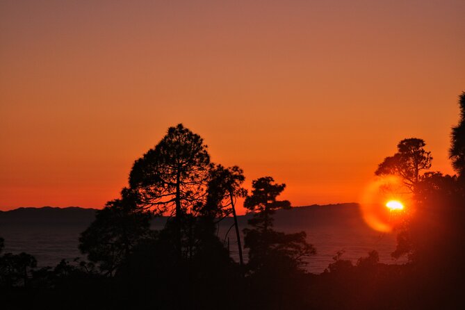 Self Drive Sunset & Stargazing in Teide National Park with Dinner - Stargazing near Pico Vieco: telescopes, lasers, and sky stories