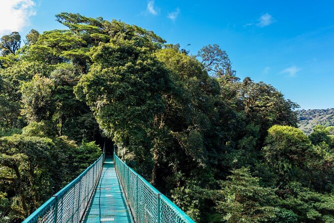 Selvatura Park Combo Tour From Monteverde - Key highlights to notice before you go