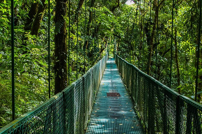 Selvatura Park Combo Tour From Monteverde - Selvatura Park Combo: what you’re really buying