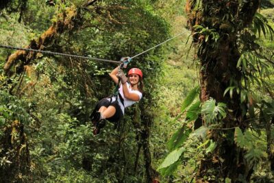 Selvatura Park Combo Tour From Monteverde - Hanging bridges: your own tempo, but manage crowd noise