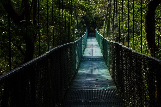 Selvatura Park Combo Tour From Monteverde - What to wear and bring for a comfort-first adventure