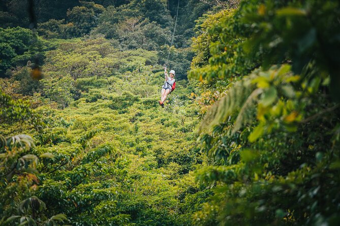 Selvatura Park Gold Package (Canopy & Hanging Bridges) - Entering Selvatura Park: what to expect before you fly