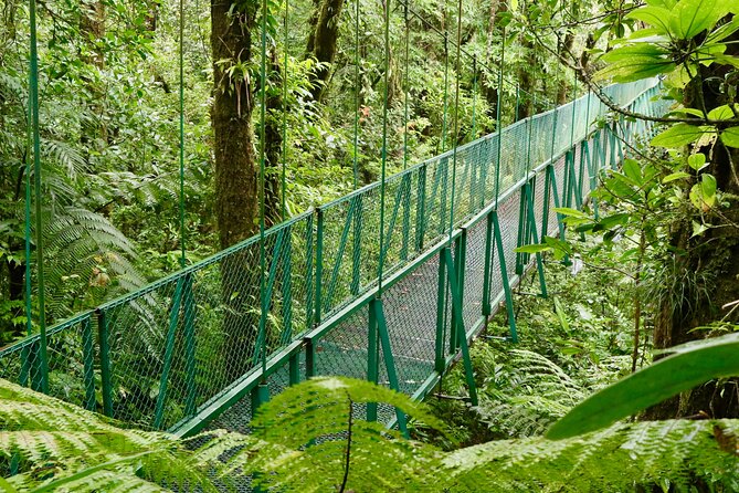 Selvatura Park Gold Package (Canopy & Hanging Bridges) - Tips that make your day smoother