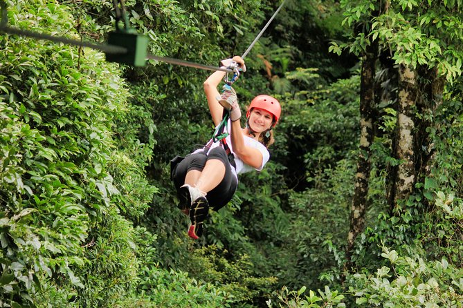 Selvatura Park Gold Package (Canopy & Hanging Bridges) - The zipline portion: 13 cables, 19 platforms, and an 800m run