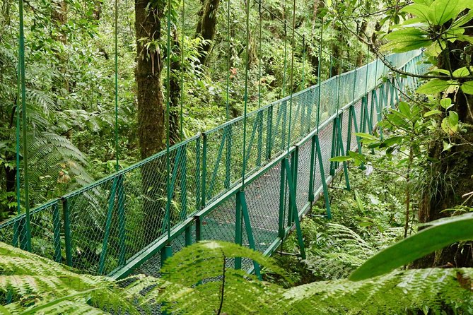 Selvatura Park Hanging Bridge Tour in Monteverde - Why Selvatura’s hanging bridges feel different than the usual canopy walk
