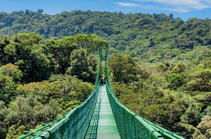 Selvatura Park Hanging Bridge Tour in Monteverde - Self-guided vs guided: how to avoid the common mix-up