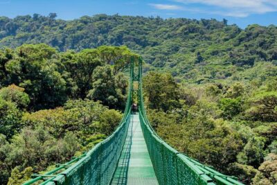 Selvatura Park Hanging Bridge Tour in Monteverde - Timing and getting there: keep your day simple