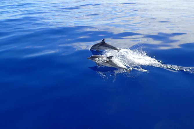 Semi-private Antiparos & Caves Blue Lagoon OR Rina Cave & Small Cyclades - Key things to know before you book