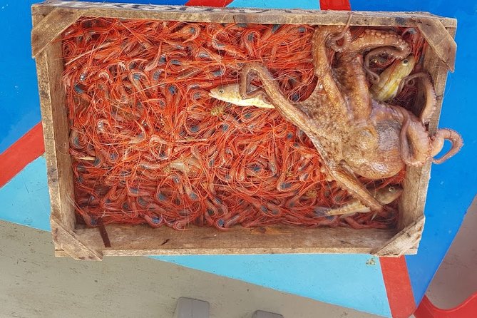 Semi - Private Fishing Tour (transportation included) - The Seafood Lunch and Unlimited Santorini Drinks
